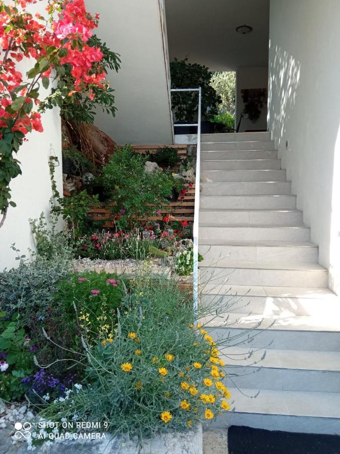Apartments Kule بريلا المظهر الخارجي الصورة