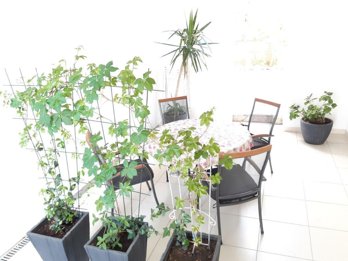 Apartments Kule بريلا المظهر الخارجي الصورة